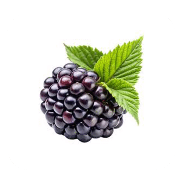 Blackberry