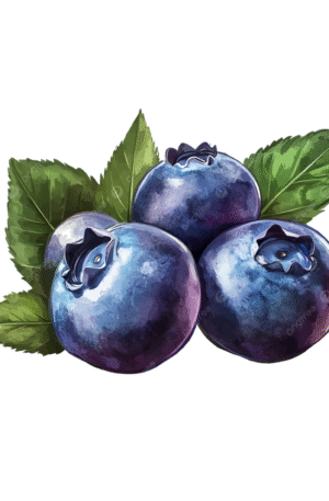 Blueberry