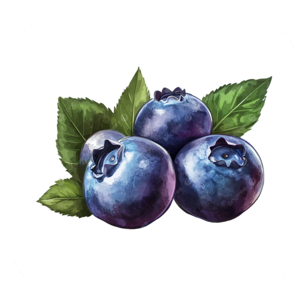 Blueberry