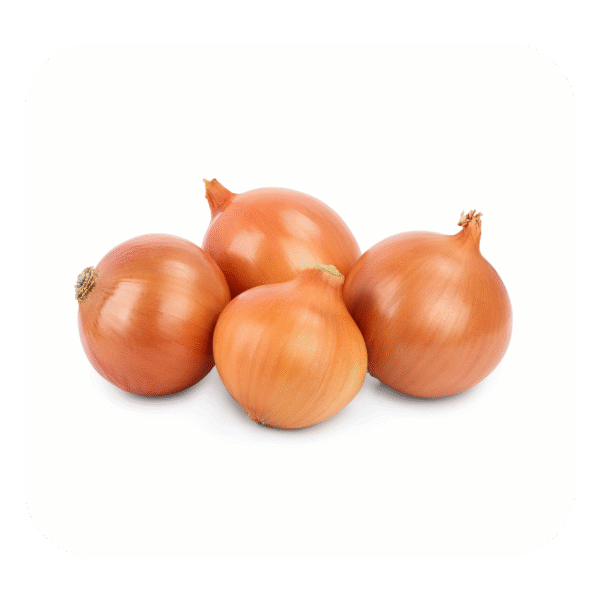 Brown Onion