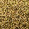 ⁦Fennel seeds⁩ - الصورة ⁦2⁩
