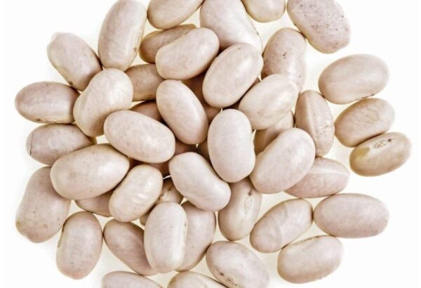 White Beans - Image 2