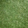 ⁦Parsley⁩ - الصورة ⁦2⁩