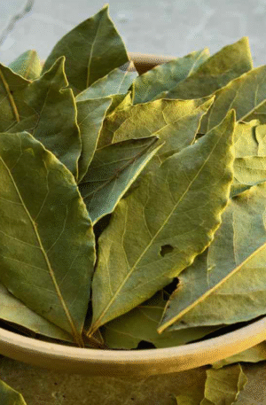 Bay Leaves