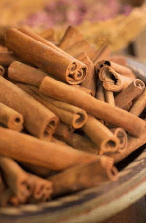 Cinnamon Stick