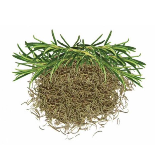 Rosemary