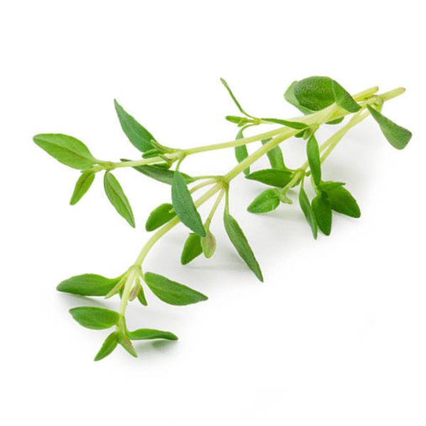 Thyme