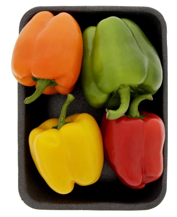 Pepper “Capsicum” - Image 2