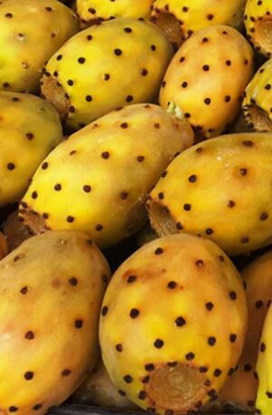 Cactus Figs