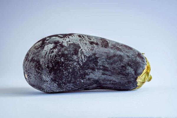 Eggplants