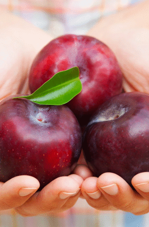 Plums