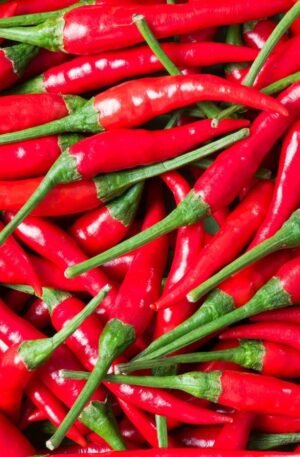 Hot Chili