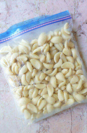Garlic