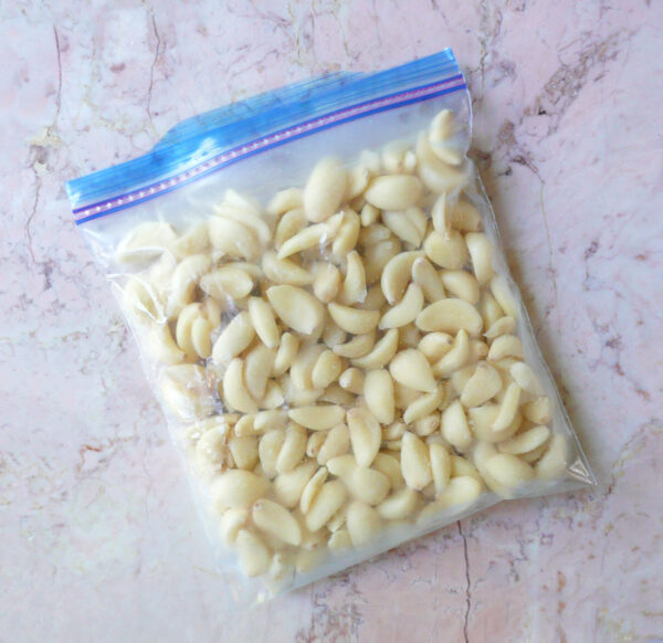 Garlic