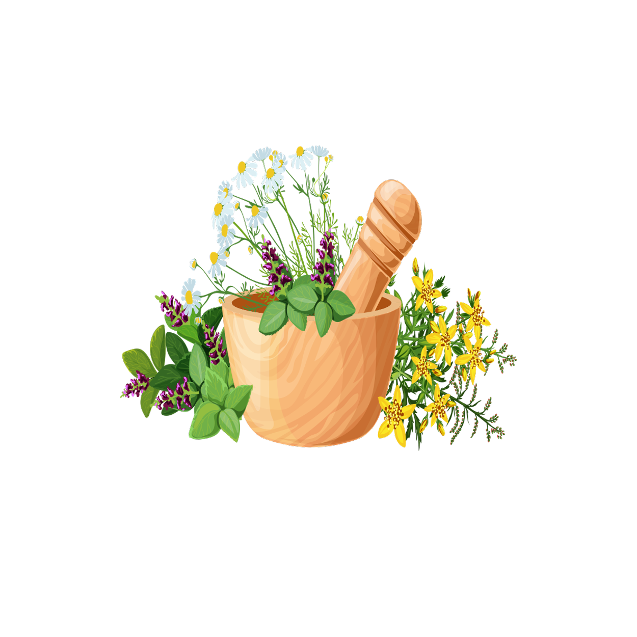Herbs