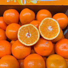 Minneola