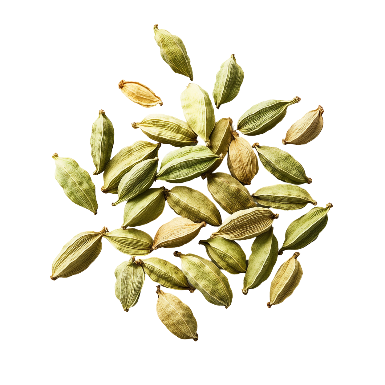 Seeds
